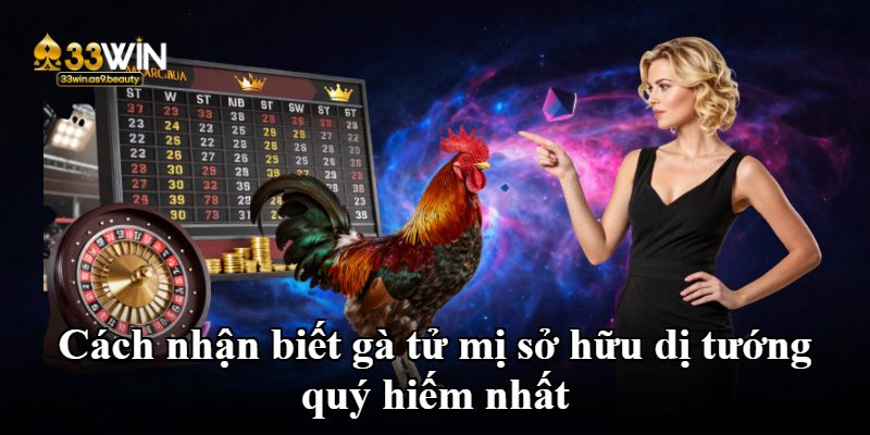 Cách nhận biết gà tử mị sở hữu dị tướng quý hiếm nhất