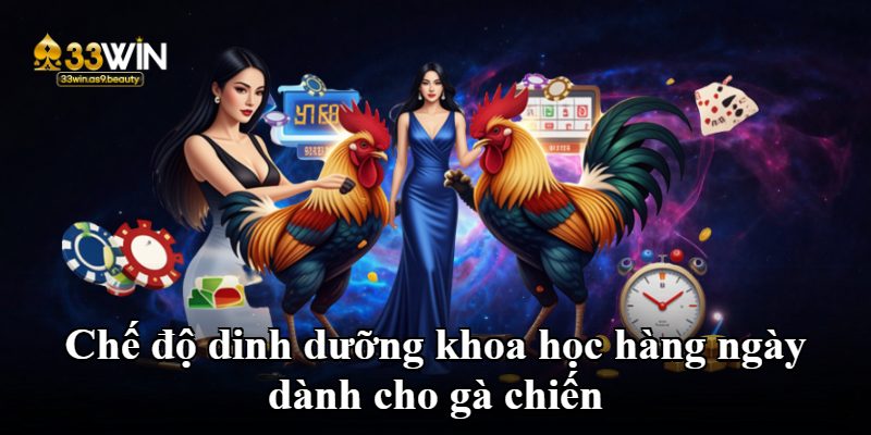 Chế độ dinh dưỡng khoa học hàng ngày dành cho gà chiến