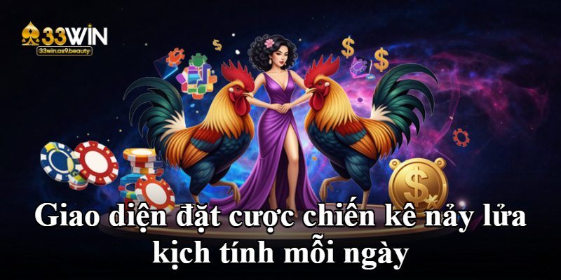 Giao diện đặt cược chiến kê nảy lửa kịch tính mỗi ngày