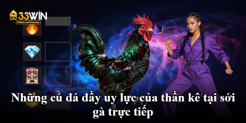 Những cú đá đầy uy lực của thần kê tại sới gà trực tiếp Những cú đá đầy uy lực của thần kê tại sới gà trực tiếp