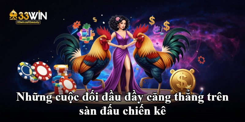 Những cuộc đối đầu đầy căng thẳng trên sàn đấu chiến kê