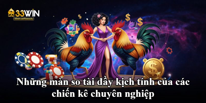 Những màn so tài đầy kịch tính của các chiến kê chuyên nghiệp