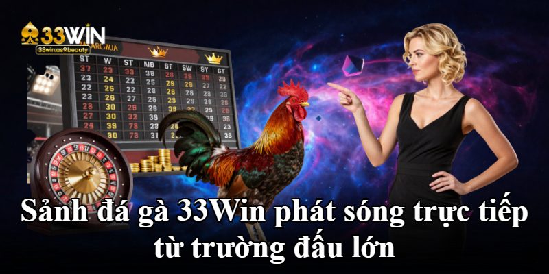 Sảnh đá gà 33Win phát sóng trực tiếp từ trường đấu lớn