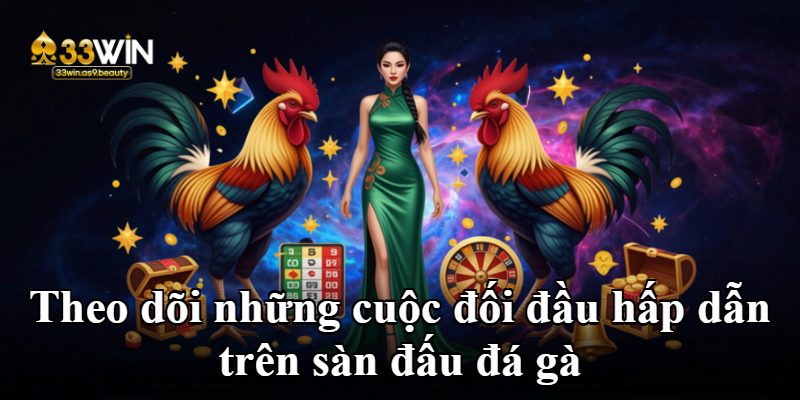 Theo dõi những cuộc đối đầu hấp dẫn trên sàn đấu đá gà